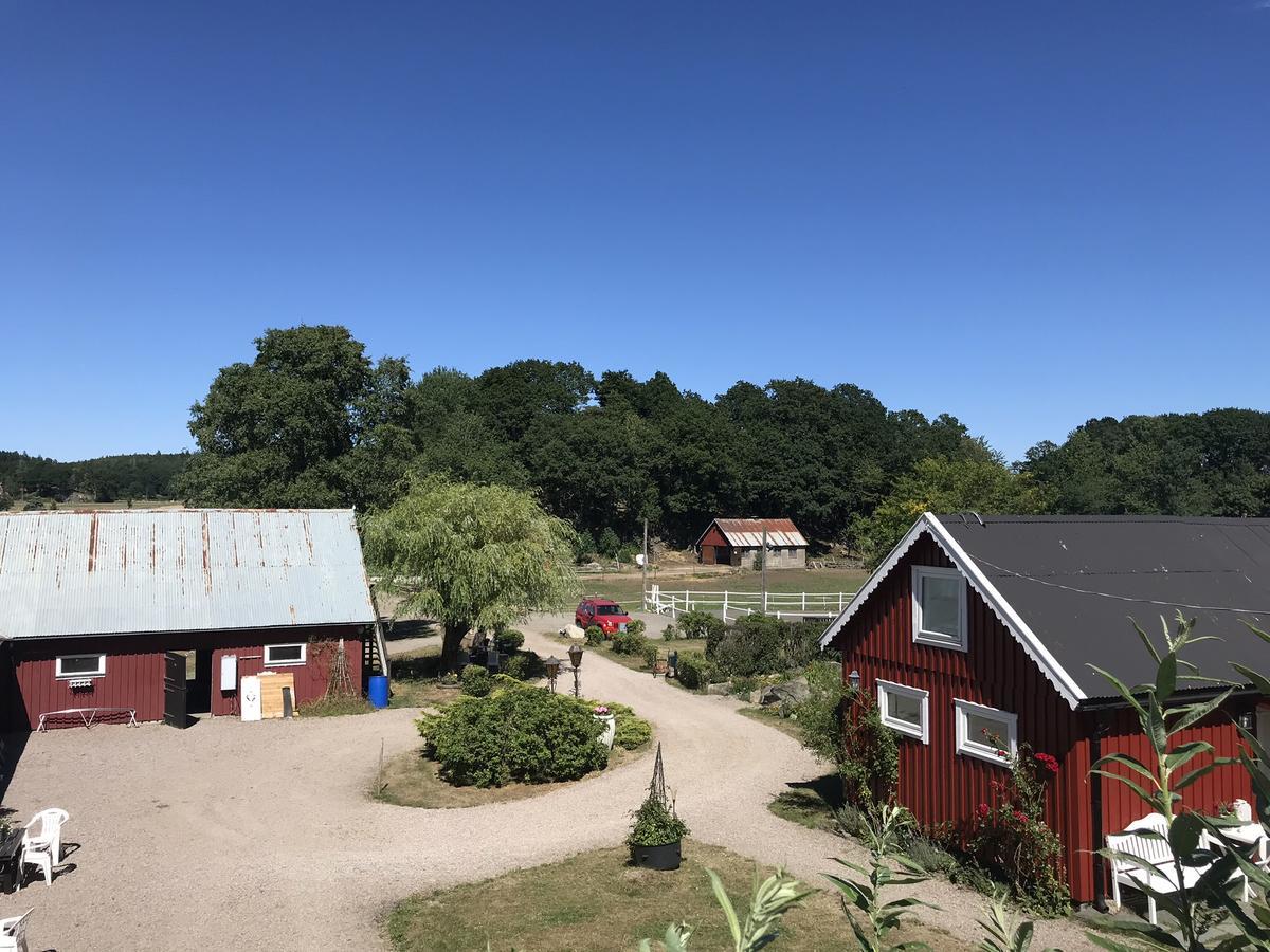 Tuvagard B&B Vindhaestar Langas エクステリア 写真